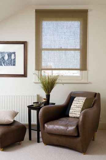 Living area blinds